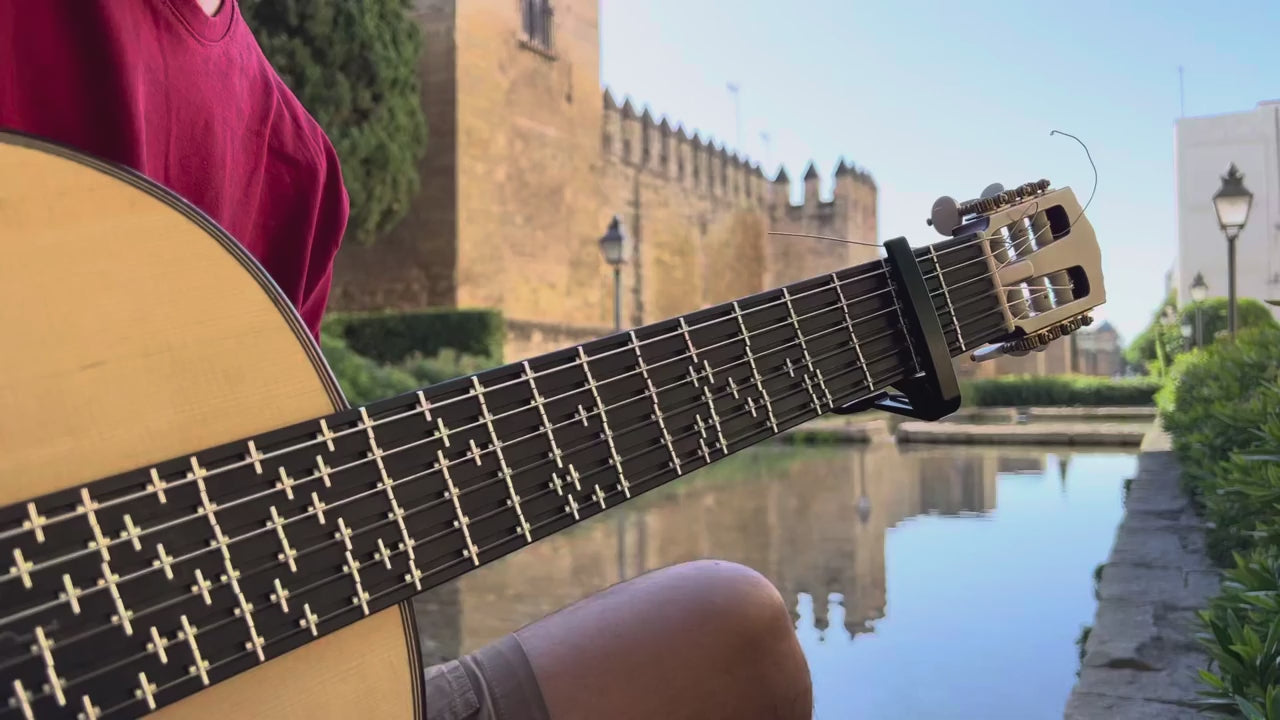 Load video: Microtonal Guitar